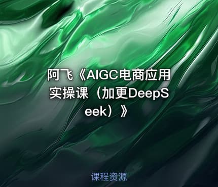 阿飞《AIGC电商应用实操课（加更DeepSeek）》
