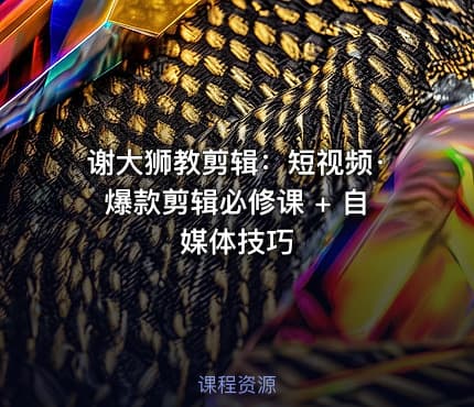谢大狮教剪辑：短视频·爆款剪辑必修课 + 自媒体技巧
