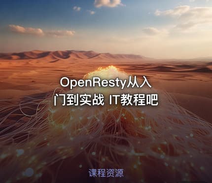 OpenResty从入门到实战 IT教程吧