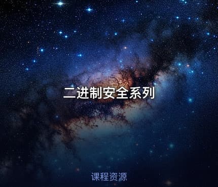 二进制安全系列