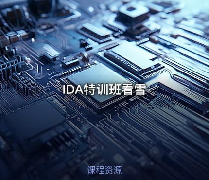 IDA特训班看雪