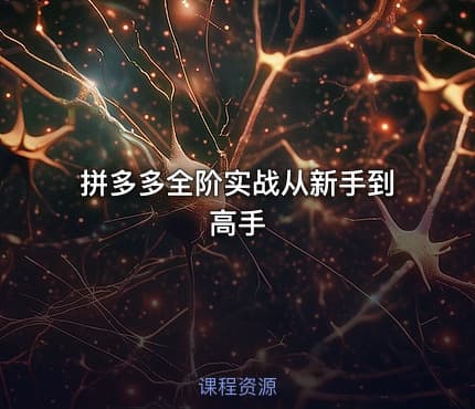拼多多全阶实战从新手到高手
