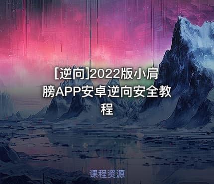[逆向]2022版小肩膀APP安卓逆向安全教程