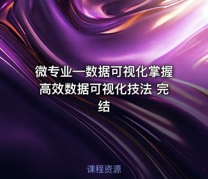 微专业—数据可视化掌握高效数据可视化技法 完结