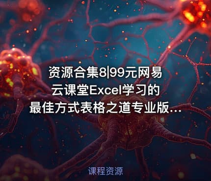 资源合集8|99元网易云课堂Excel学习的最佳方式表格之道专业版附教程练习课件