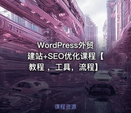 WordPress外贸建站+SEO优化课程【教程 ，工具，流程】