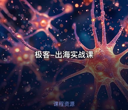 极客-出海实战课