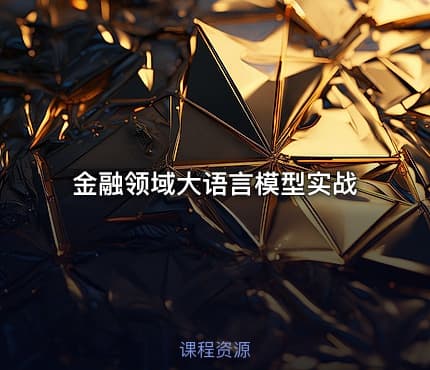 金融领域大语言模型实战