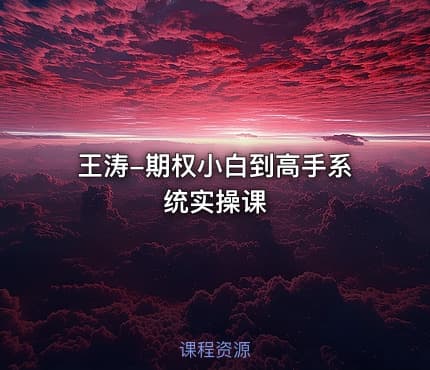 王涛-期权小白到高手系统实操课