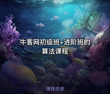 牛客网初级班+进阶班的算法课程