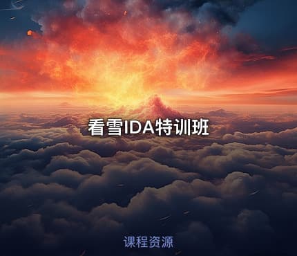 看雪IDA特训班