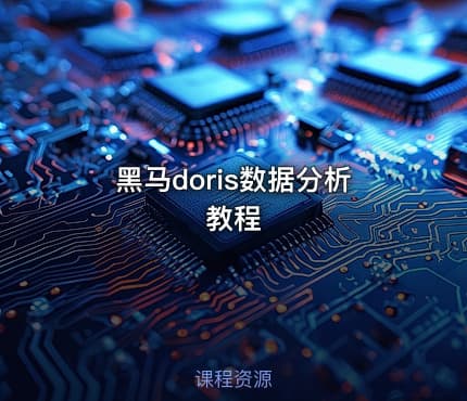 黑马doris数据分析教程