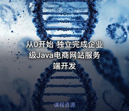从0开始 独立完成企业级Java电商网站服务端开发