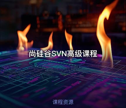 尚硅谷SVN高级课程