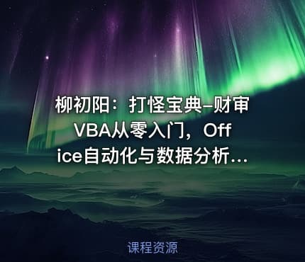 柳初阳：打怪宝典-财审VBA从零入门，Office自动化与数据分析实战课程