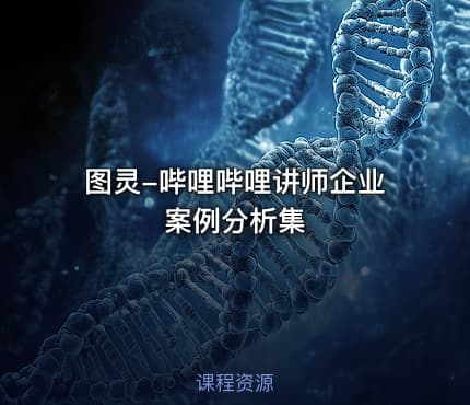 图灵-哔哩哔哩讲师企业案例分析集