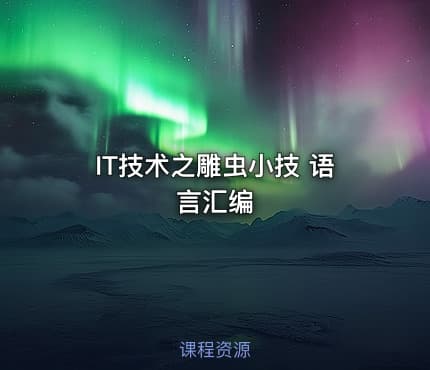 IT技术之雕虫小技 语言汇编