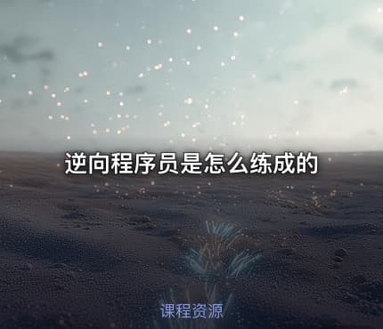 逆向程序员是怎么练成的
