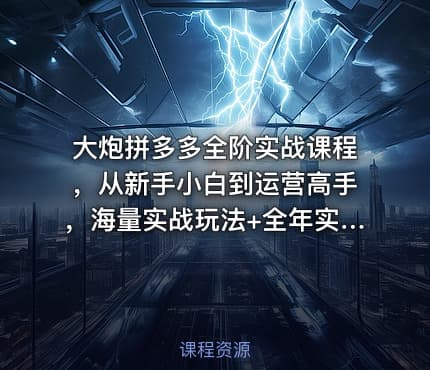 大炮拼多多全阶实战课程，从新手小白到运营高手，海量实战玩法+全年实时更新【2025年9月更新】