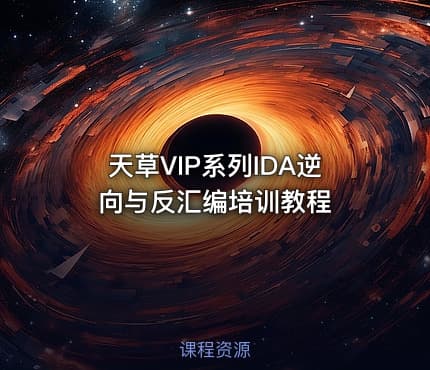 天草VIP系列IDA逆向与反汇编培训教程