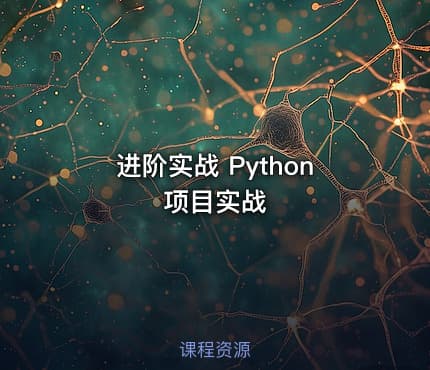 进阶实战 Python项目实战
