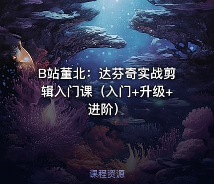 B站董北：达芬奇实战剪辑入门课（入门+升级+进阶）