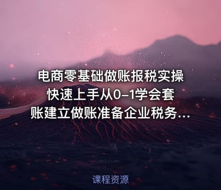 电商零基础做账报税实操快速上手从0-1学会套账建立做账准备企业税务申报