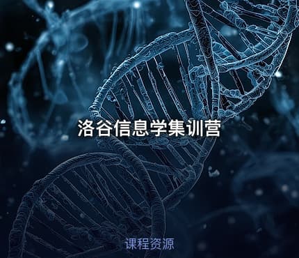 洛谷信息学集训营
