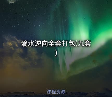 滴水逆向全套打包(九套)