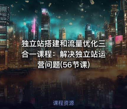 独立站搭建和流量优化三合一课程：解决独立站运营问题(56节课)
