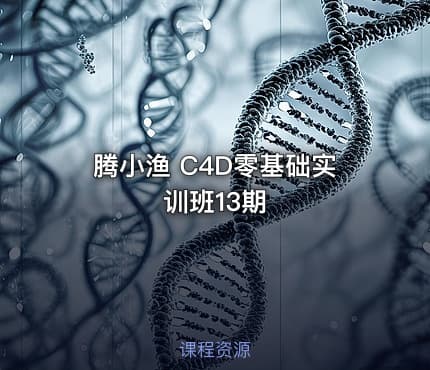 腾小渔 C4D零基础实训班13期