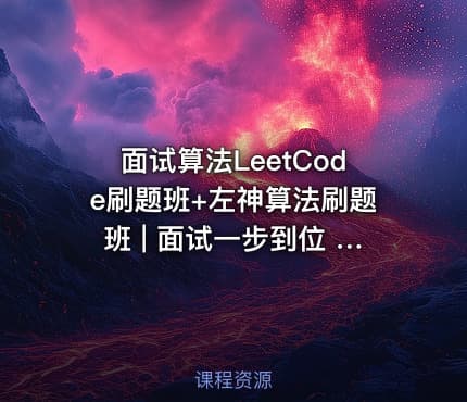 面试算法LeetCode刷题班+左神算法刷题班 | 面试一步到位 | 站长亲测推荐