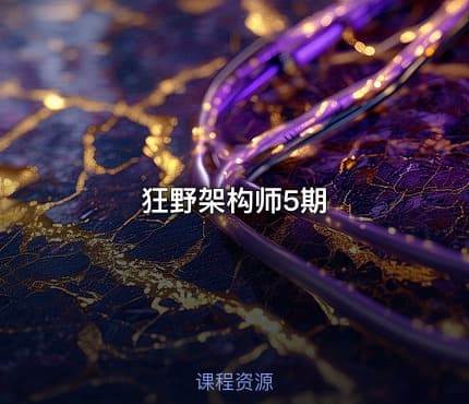 狂野架构师5期