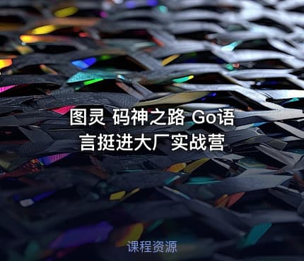 图灵 码神之路 Go语言挺进大厂实战营