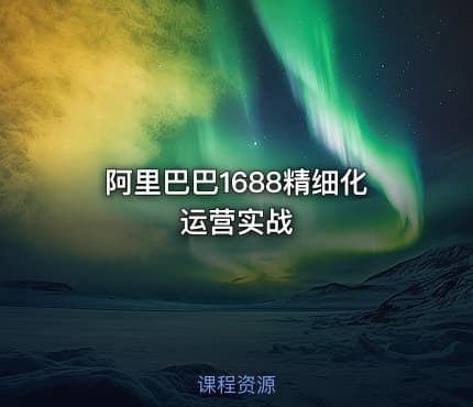 阿里巴巴1688精细化运营实战