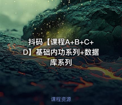 抖码【课程A+B+C+D】基础内功系列+数据库系列