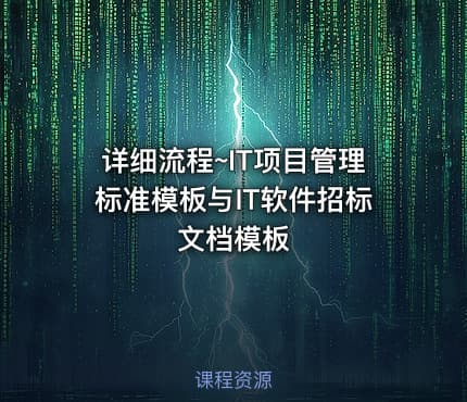 详细流程~IT项目管理标准模板与IT软件招标文档模板