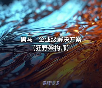 黑马 -企业级解决方案（狂野架构师）