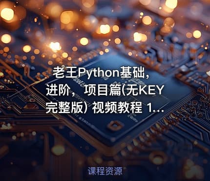 老王Python基础，进阶，项目篇(无KEY完整版) 视频教程 15G