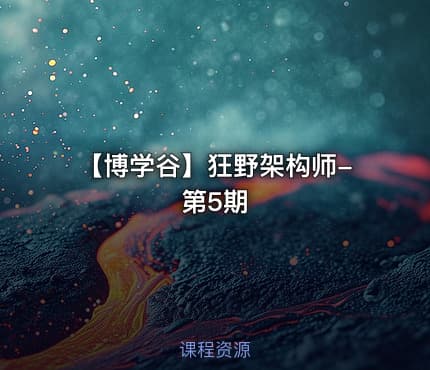 【博学谷】狂野架构师-第5期