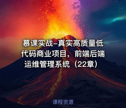慕课实战-真实高质量低代码商业项目，前端后端运维管理系统（22章）