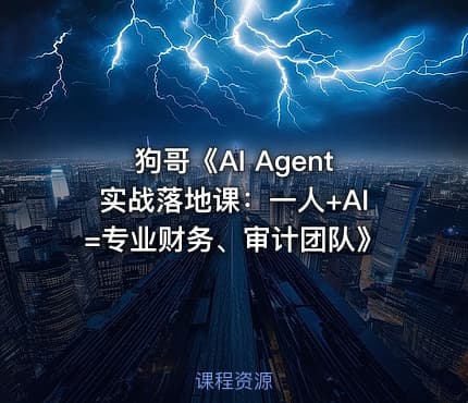 狗哥《AI Agent实战落地课：一人+AI=专业财务、审计团队》