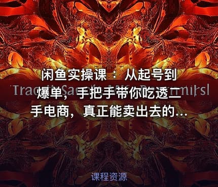 闲鱼实操课 ：从起号到爆单，手把手带你吃透二手电商，真正能卖出去的实战指南