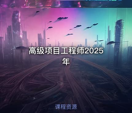 高级项目工程师2025年