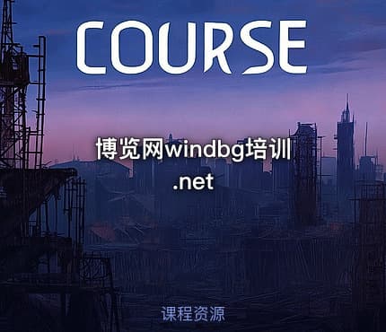 博览网windbg培训.net