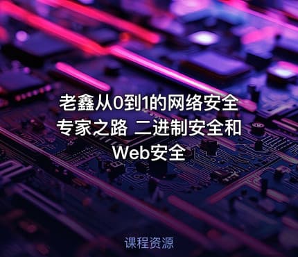 老鑫从0到1的网络安全专家之路 二进制安全和Web安全