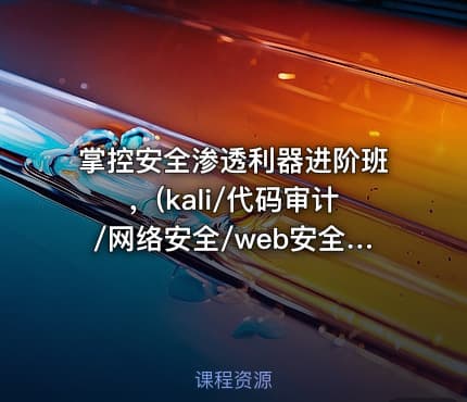 掌控安全渗透利器进阶班，(kali/代码审计/网络安全/web安全/测试/信息安全)，价值4298