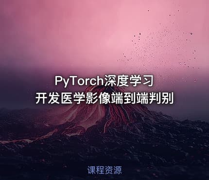 PyTorch深度学习开发医学影像端到端判别