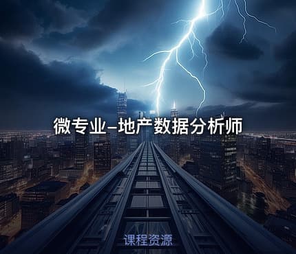 微专业-地产数据分析师