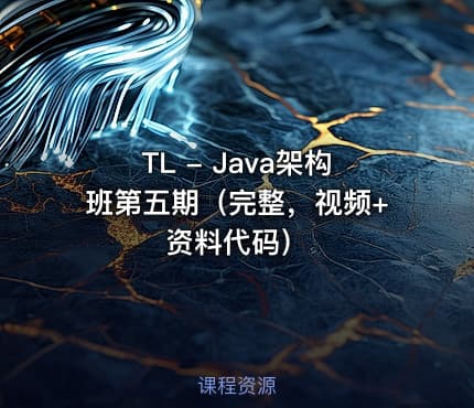 TL - Java架构班第五期（完整，视频+资料代码）